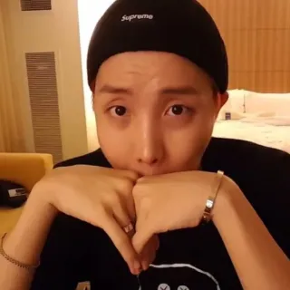 🌸 26122f17 Supreme personne, chapeau, selfie, homme, portrait telegram sticker