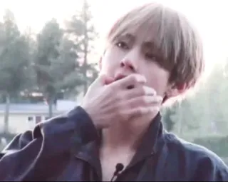 🍃 14edd4e9 telegram sticker