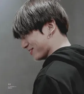 🍃 2fc0ef06 telegram sticker