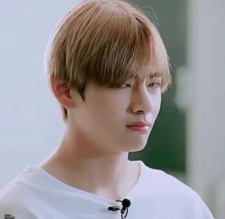 🍃 3171fd33 telegram sticker