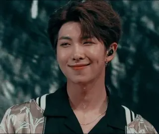 🍃 628c56c3 RM RM, K-Pop, 音乐, BTS, 歌手, 音乐家, 肖像 telegram sticker
