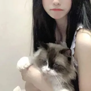 🍧 352618e6 Katze, Frau, Haustier, Porträt, Hauskatze whatsapp sticker