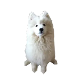 Banksy&Balto telegram stickers