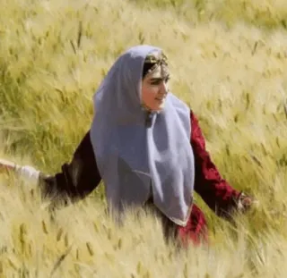 ✨ 7c57bcb2 Frau, Feld, Tracht, Natur, Person, Draussen, Porträt telegram sticker