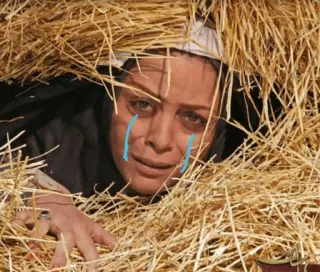 ✨ c867118e Frau, weinen, traurig, Heu, Verzweiflung, emotional telegram sticker