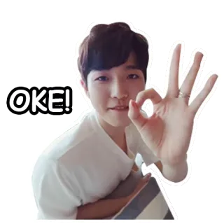 👍 a2f61c80 OKE! окей, ок, согласен, жест, знак рукой, одобрение whatsapp sticker