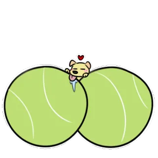 🎾 16e38c7f 犬, お尻, 生意気, 面白い, ステッカー, 可愛い telegram sticker