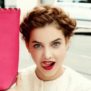 🐾 33aae988 telegram sticker