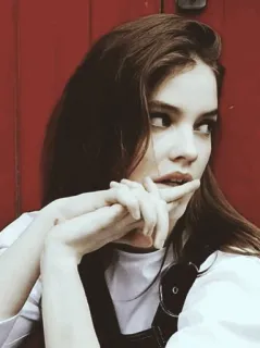 ⛰ 1bf9c012 telegram sticker