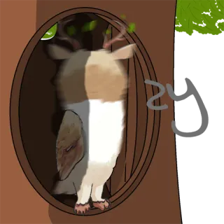 🦉 d4df8737 telegram sticker