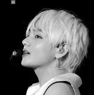 🕯 7dc539af портрет, мужчина, певец, знаменитость, черно-белое whatsapp sticker