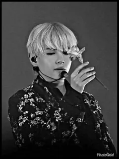 ⛓ dd9088c1 telegram sticker