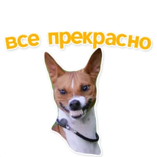 👍 b8d03dff все прекрасно cachorro, animal, russo, expressão, adesivo telegram sticker