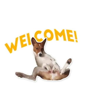 👋 cdc41a3e WELCOME! cachorro, bem-vindo, animal, saudação telegram sticker