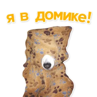 🙈 ecdf435b Я В ДОМИКЕ! animal, cão, desenho animado, fofo, engraçado, casa telegram sticker