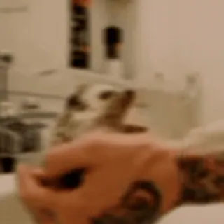 🌟 239abfa4 telegram sticker