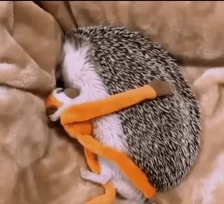 🌟 2e0f4767 erizo, animal, durmiendo, lindo, juguete telegram sticker