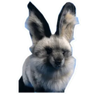 😵 7b39f544 tier, säugetier, kaninchen, hase, haustier, süß, wildtier telegram sticker