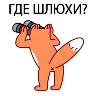 😎 c17f307e ГДЕ ШЛЮХИ? vos, verrekijker, kijken, russisch, aanstootgevend telegram sticker
