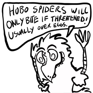 🐓 c25d53a7 Hobo spiders will only bite if threatened! Usually over eggs. aranha, aranha погребу, animal, inseto, picada telegram sticker