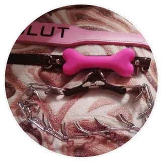 😍 92f0e53b SLUT slur, offensive, collar, dog collar, pink telegram sticker