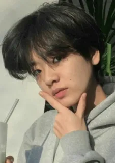 🕸 1c2171f8 người, áo hoodie, chân dung, thường ngày, thanh niên, dễ thương, Hàn Quốc, thiếu niên telegram sticker