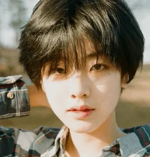 🕸 2348c7e6 người, chân dung, trẻ, vải nỉ, tóc, mặt, ngoài trời telegram sticker