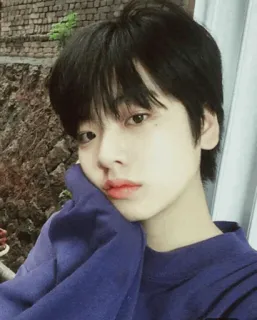 🕸 245d74cc telegram sticker