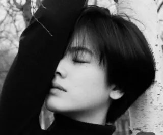 🕸 2a437634 telegram sticker