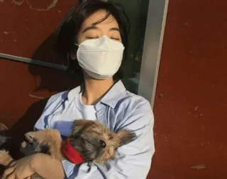 🕸 40b7bbc3 người, chó, mặt nạ, thú cưng, chân dung, ngoài trời, dễ thương telegram sticker