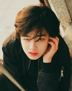 🕸 c6b7975c telegram sticker