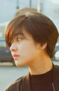 🕸 c7a06b1e người, phụ nữ, chân dung, tóc ngắn, thường ngày, ánh sáng ban ngày telegram sticker