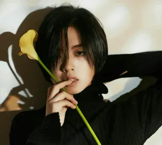 🕸 d6a253a0 người, hoa, hoa rum, chân dung, thời trang, phong cách telegram sticker