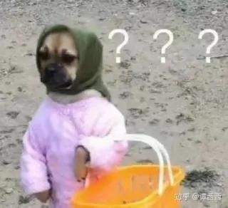 🤨 16bebe4f ? ? ? anjing, tanda tanya, bingung, lucu, meme, imut, hewan peliharaan whatsapp sticker