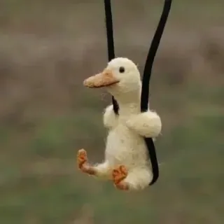 🥲 1dc72a96 bebek, binatang, lucu, burung whatsapp sticker