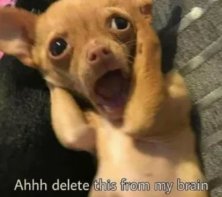 🤯 20c0a3a3 Ahhh delete this from my brain anjing, chihuahua, lucu, meme, ekspresi, hewan whatsapp sticker