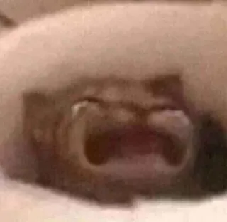 😢 73b28205 whatsapp sticker