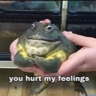 😢 fef2323b you hurt my feelings katak, sakit hati, meme, amfibi, sedih, lucu, hewan whatsapp sticker