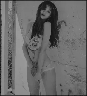 ◽️ 45a71c10 vrouw, roos, ondergoed, zwart-wit, mode, meisje whatsapp sticker