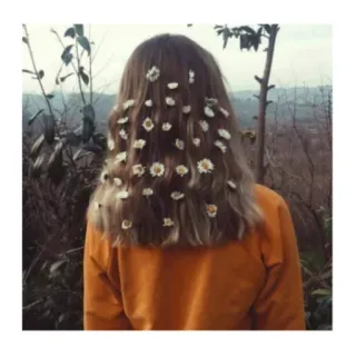 🌼 18332c3e daisies, flowers, hair, back, nature, woman, portrait, plant telegram sticker