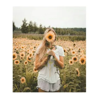 🌻 ae464bc0 sunflower, woman, field, nature, summer, flowers, blonde, girl telegram sticker