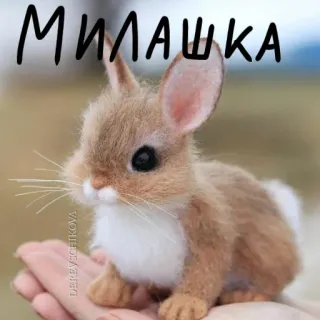 🐰 009f79fe Милашка 兔子, 可爱, 兔子, 动物 telegram sticker