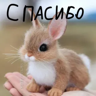 🐰 7689db7e СПАСИБО 兔子, 动物, 小兔, 可爱, 谢谢, 俄语 telegram sticker