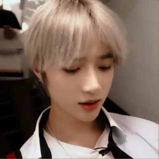 🐻 05068293 whatsapp sticker