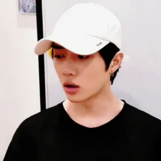 🐻 230559d9 whatsapp sticker