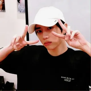 🐻 288d831c whatsapp sticker