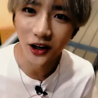 🐻 416a84f0 whatsapp sticker