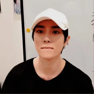 🐻 6a64a512 whatsapp sticker