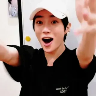 🐻 7f49fd23 whatsapp sticker