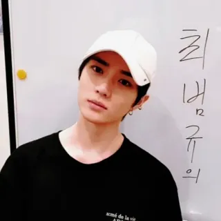 🐻 823b9161 whatsapp sticker